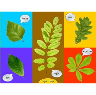 Živá príroda pre MŠ (SIA5)