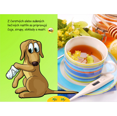 Živá príroda pre MŠ (SIA5)