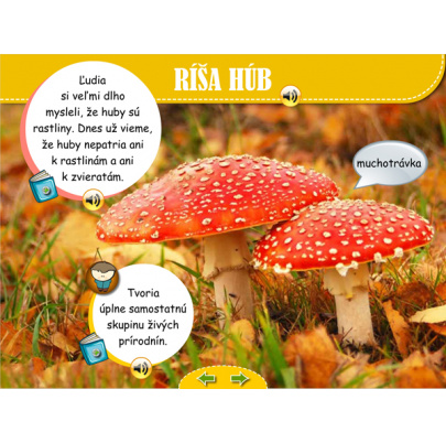 Živá príroda pre MŠ (SIA5)