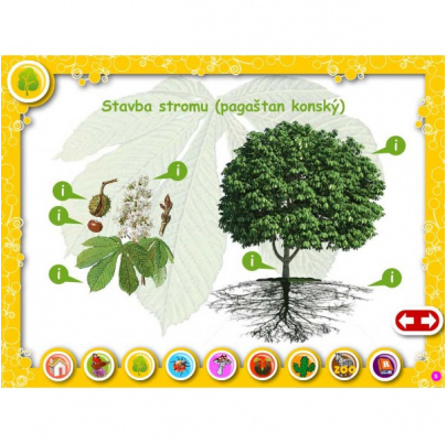 Živá príroda pre ZŠ (SL)