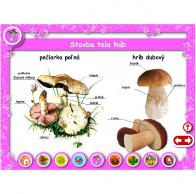 Živá príroda pre ZŠ (DL)