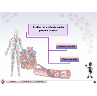 Cievna sústava (DL)