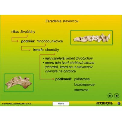 Triedenie stavovcov (DL)