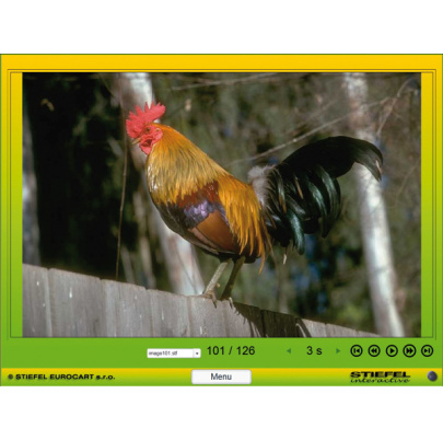 Triedenie stavovcov (DL)