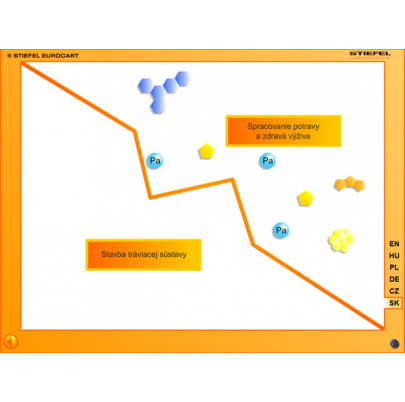 Tráviaca sústava (SL)