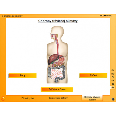 Tráviaca sústava (SL)