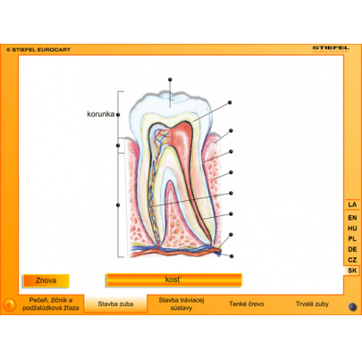 Tráviaca sústava (SL)