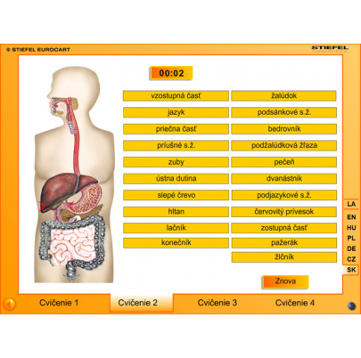 Tráviaca sústava (SL)