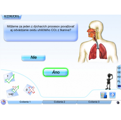 Dýchacia sústava (DL)
