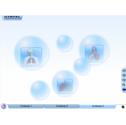 Dýchacia sústava (SL)