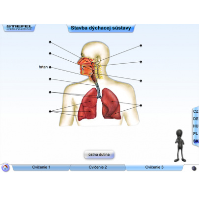 Dýchacia sústava (SL)