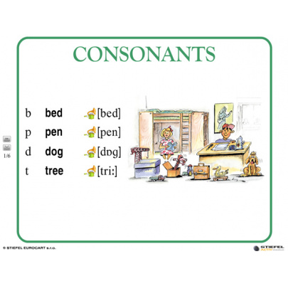 The English Alphabet (SL)