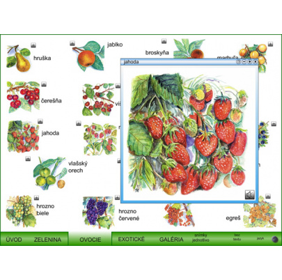 Ovocie a zelenina (SIA5)