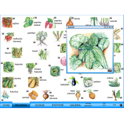 Ovocie a zelenina (SL)