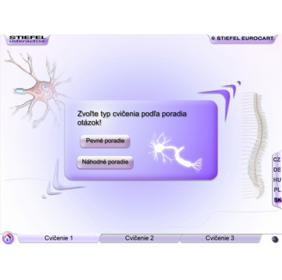 Nervová sústava (DL)