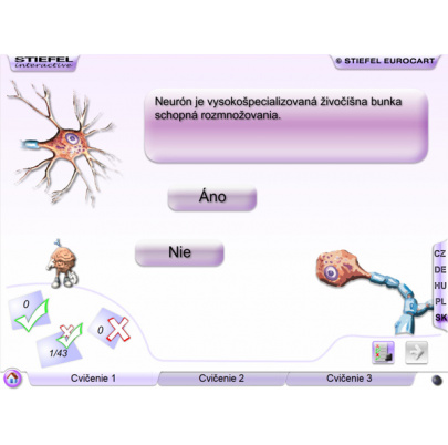 Nervová sústava (DL)