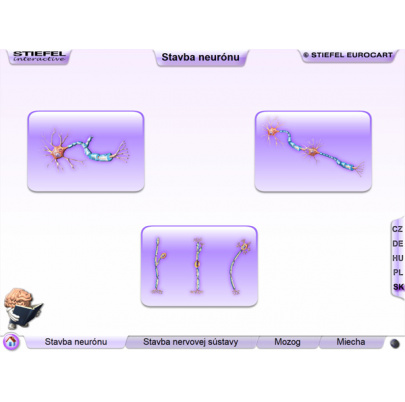 Nervová sústava (SL)