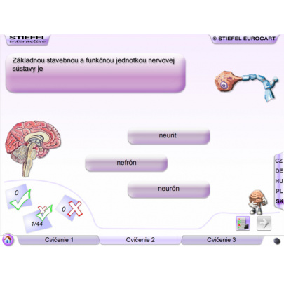 Nervová sústava (SL)