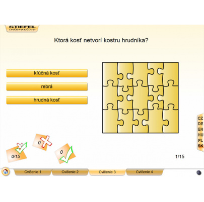 Kostra človeka (DL)