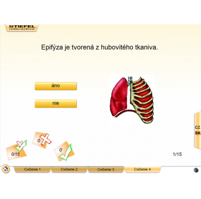 Kostra človeka (DL)