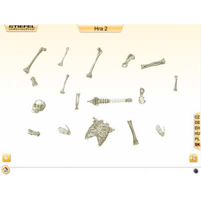 Kostra človeka (DL)