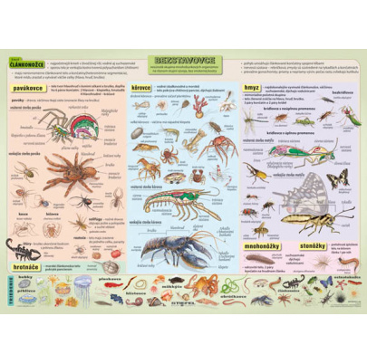 Bezstavovce, III. diel