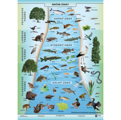 Potravové siete - voda