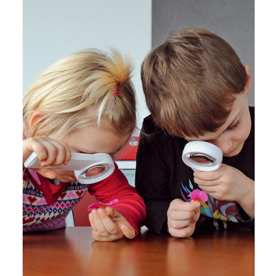 Súprava K4 – Rastliny