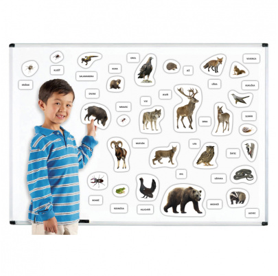 Lesné zvieratá - magnetky