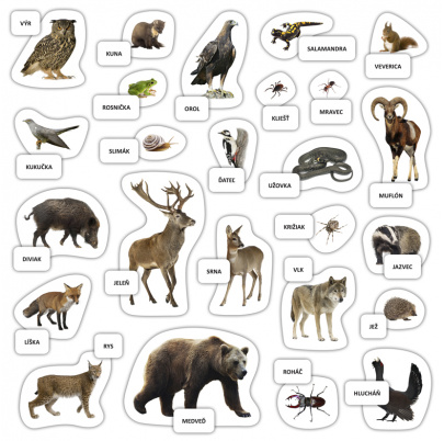 Lesné zvieratá - magnetky