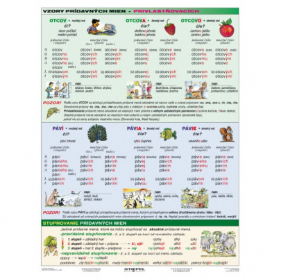 Vzory - prídavné mená (A4)