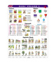 Basic English I (A4)