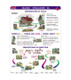 Basic English II (A4)