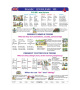 Basic English III (A4)
