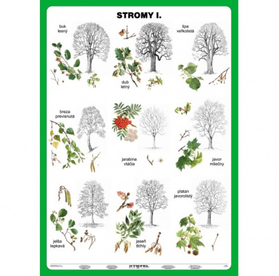 Stromy, I. a II. diel (A5)