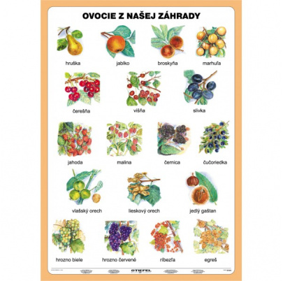 Ovocie a zelenina z našej záhrady (A5)
