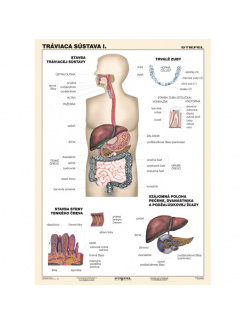 Tráviaca sústava, I. diel (A4)