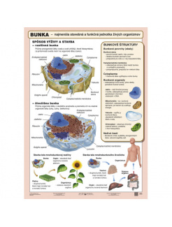 Stavba bunky (A4)