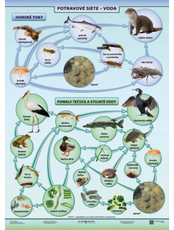Potravové siete - voda (A4)