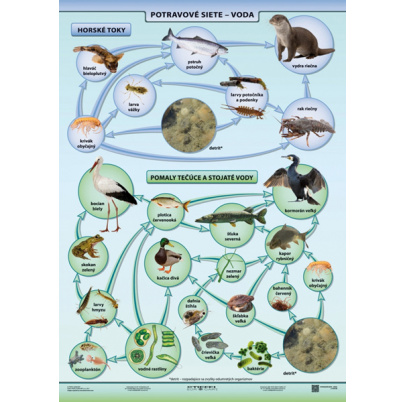 Potravové siete - voda (A4)