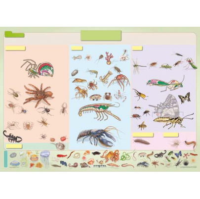 Bezstavovce, III. diel (A4)