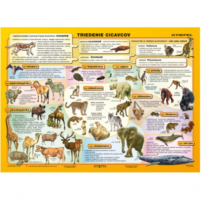 Triedenie cicavcov (A4)