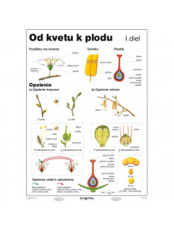 Od kvetu k plodu, I. diel (A4)