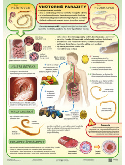 Vnútorné parazity (A4)