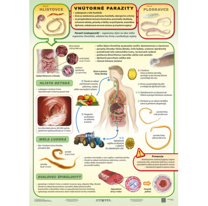 Vnútorné parazity (A4)