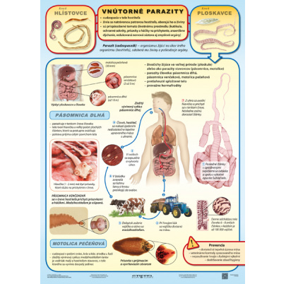 Vnútorné parazity (A4)
