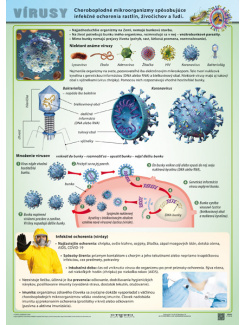Vírusy (A4)