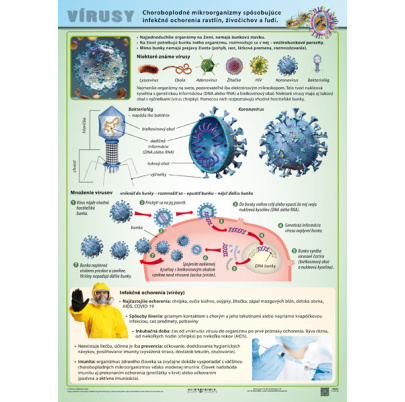 Vírusy (A4)