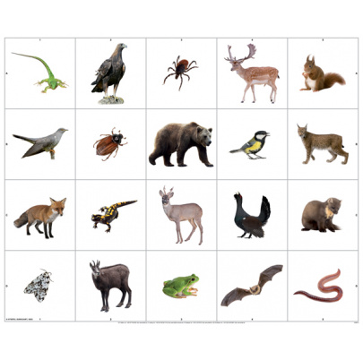 Obojstranná tematická podložka - Lesné zvieratá