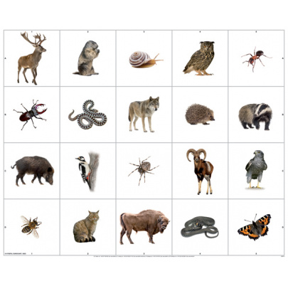 Obojstranná tematická podložka - Lesné zvieratá